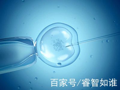 ICSI操作